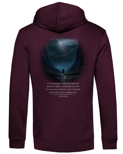 Darkest Valley - Herren Hoodie Bio
