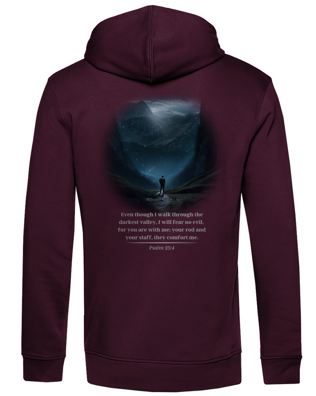 Darkest Valley - Herren Hoodie Bio